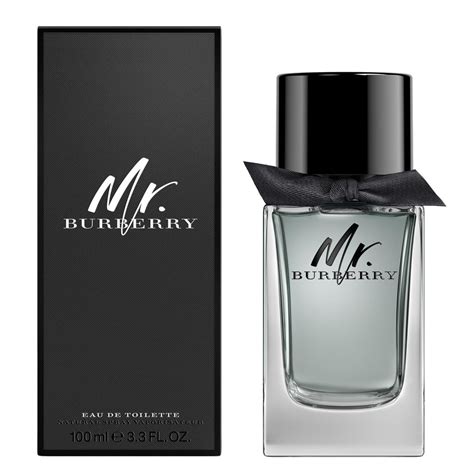 burberry mr burberry edt 100 ml|burberry for men edt.